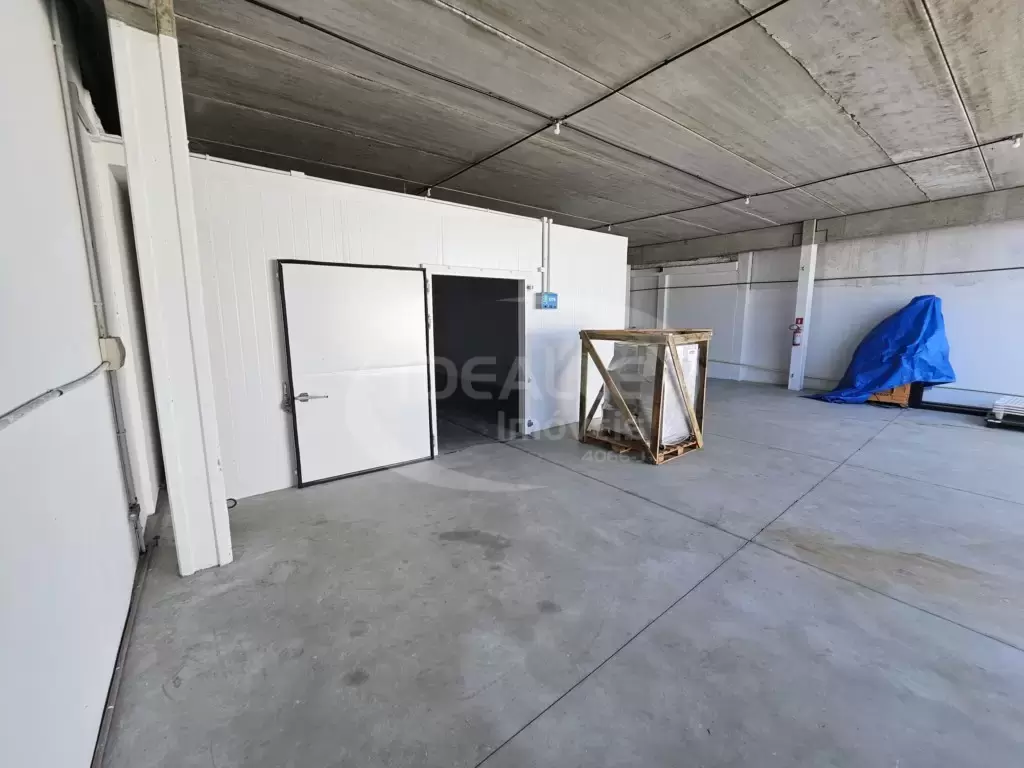 Barracão no Mossunguê