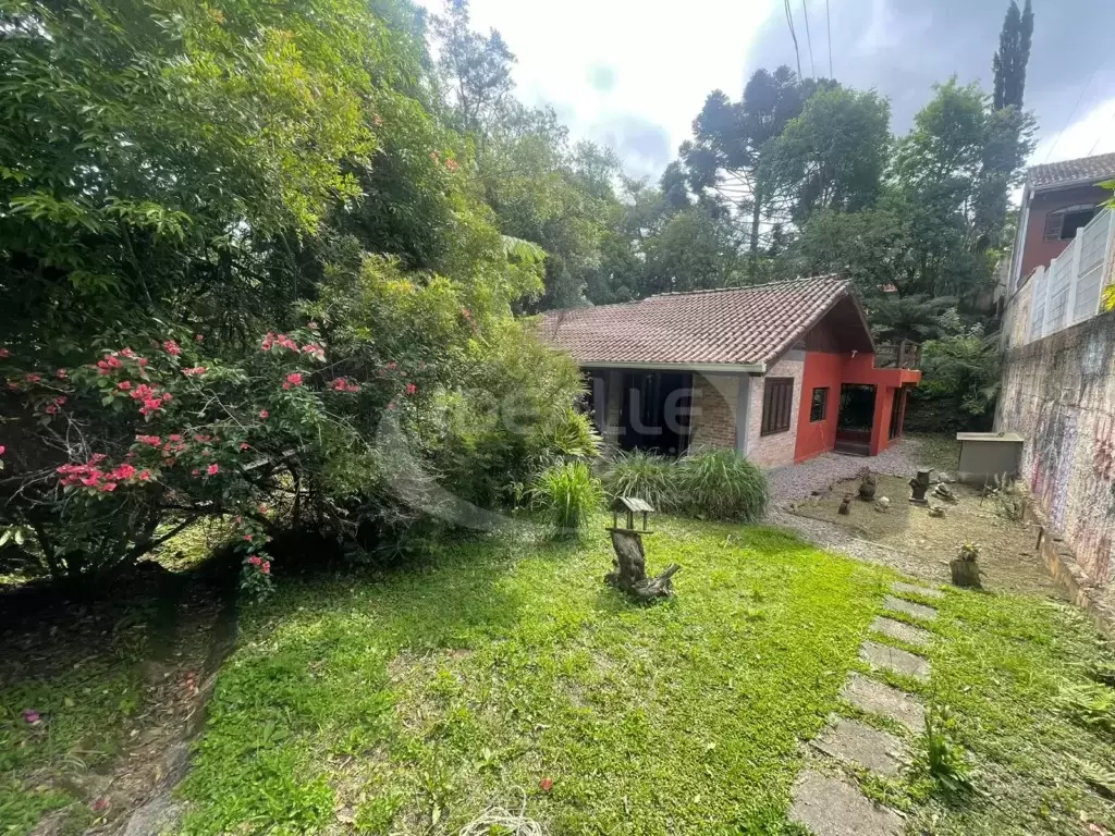 Terreno no Vista Alegre