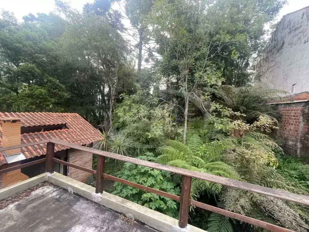 Terreno no Vista Alegre