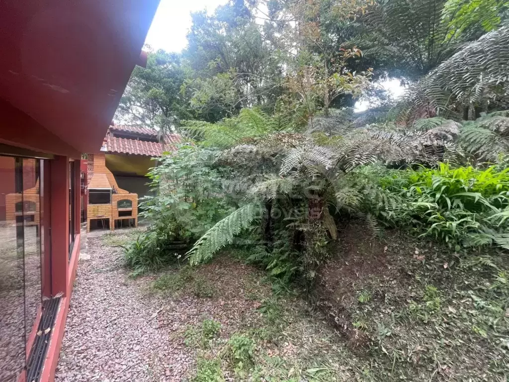 Terreno no Vista Alegre