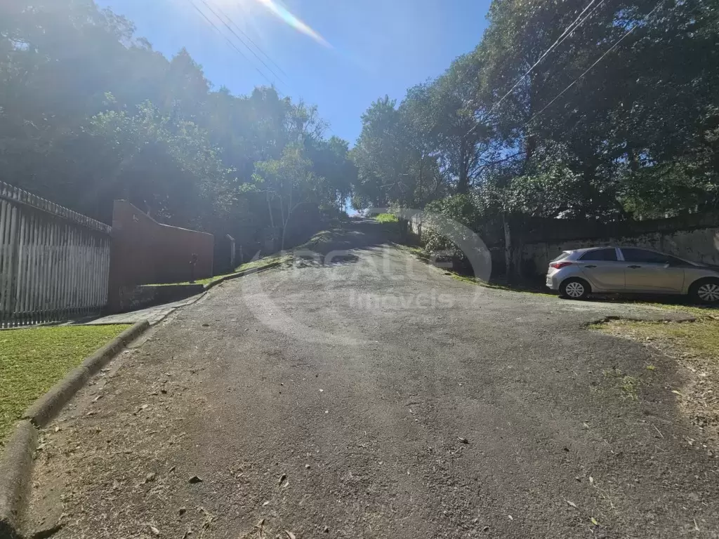 Terreno no Vista Alegre