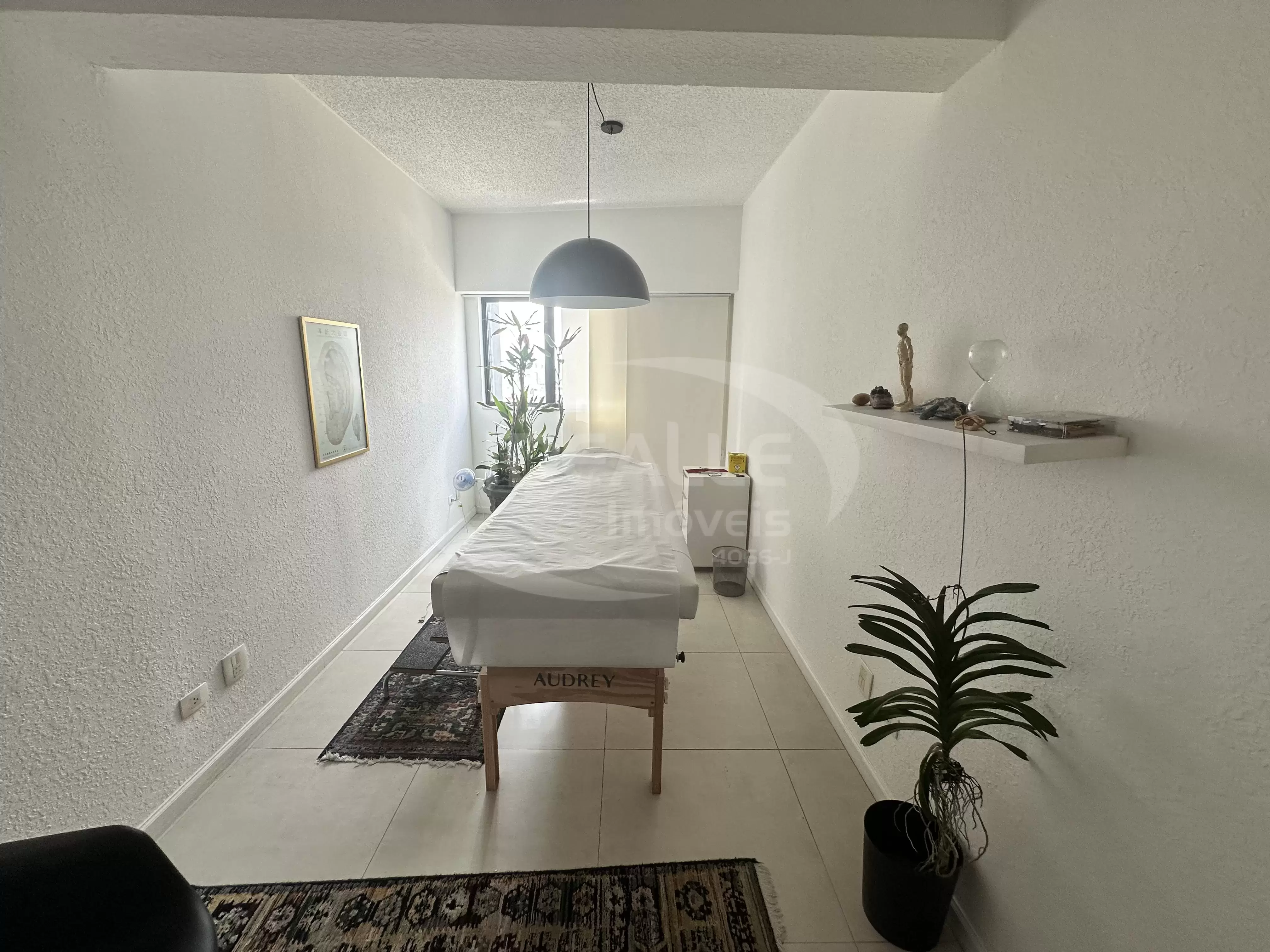 Ed. Champagnat Premium