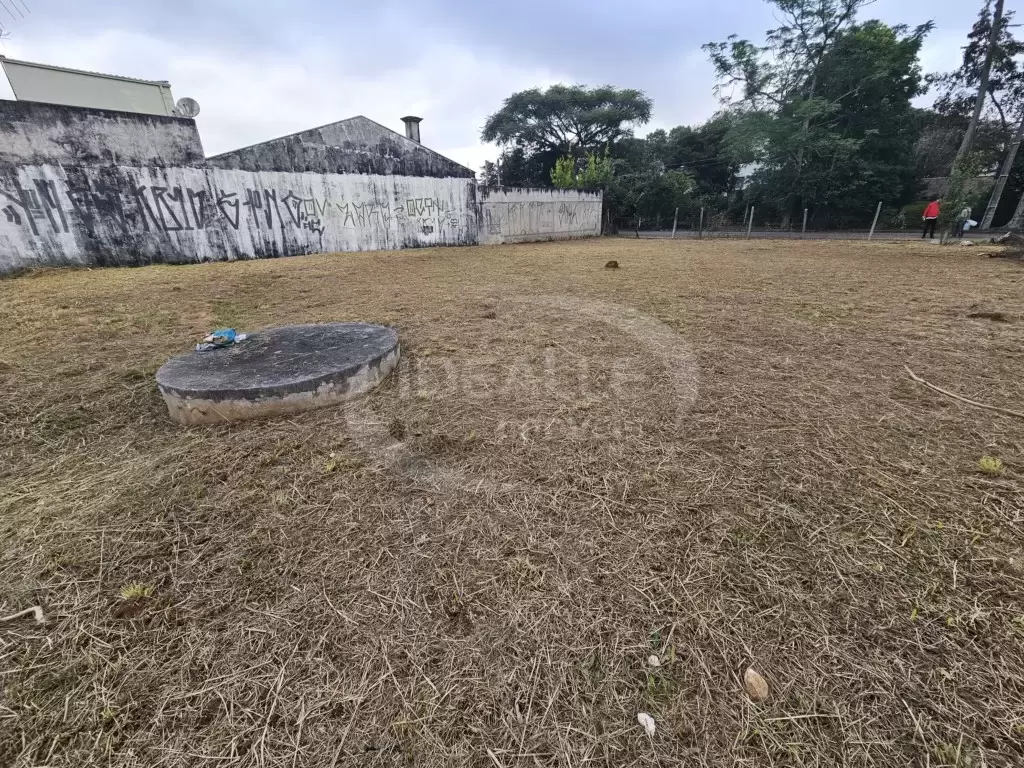 Terreno em Santa Felicidade