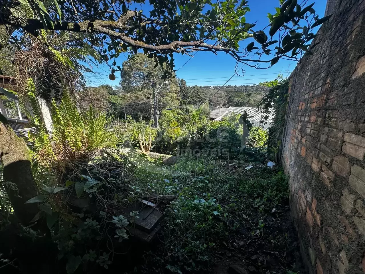 Terreno no Pilarzinho